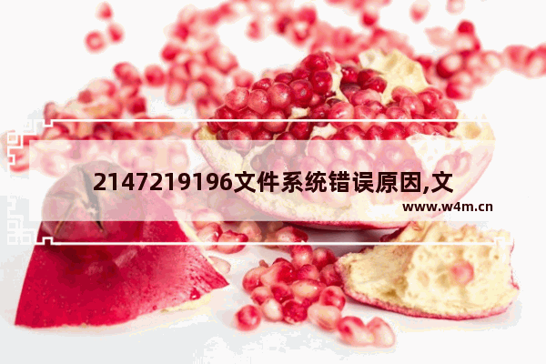 2147219196文件系统错误原因,文件系统错误-2147219