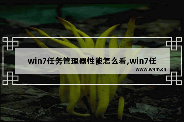 win7任务管理器性能怎么看,win7任务管理器性能