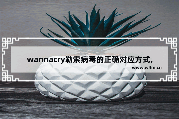 wannacry勒索病毒的正确对应方式,wannacry勒索病毒事件攻击后果