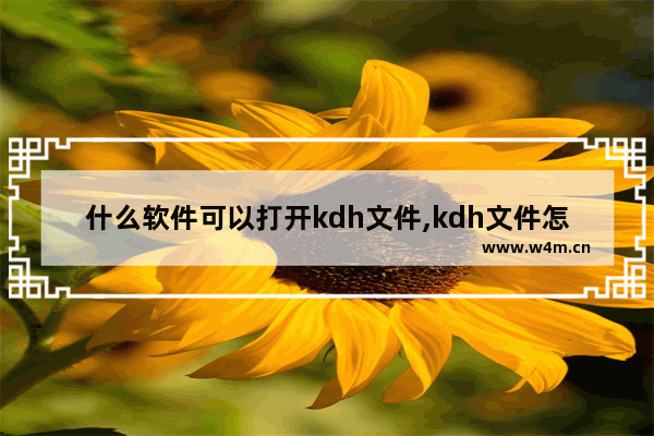 什么软件可以打开kdh文件,kdh文件怎么打开-