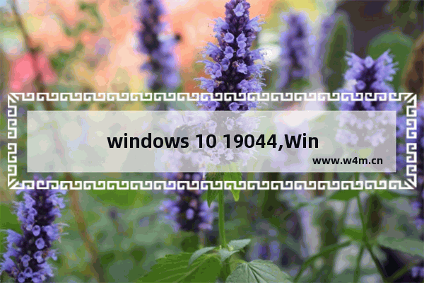 windows 10 19044,Win10 19044