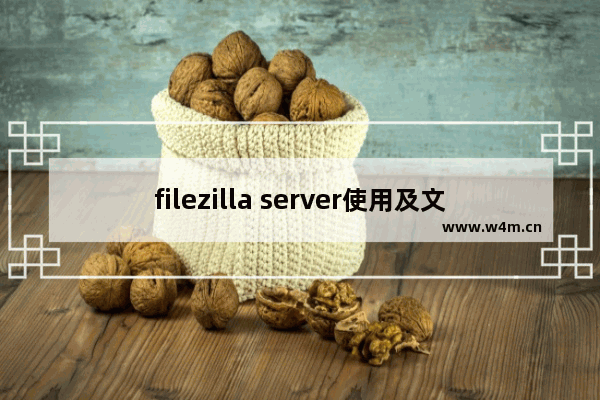 filezilla server使用及文件服务器的配置,filezilla配置文件