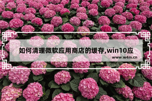 如何清理微软应用商店的缓存,win10应用商店占用大量内存