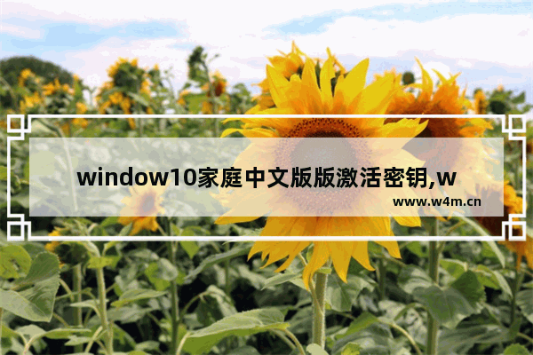 window10家庭中文版版激活密钥,win10家庭版中文版激活密钥