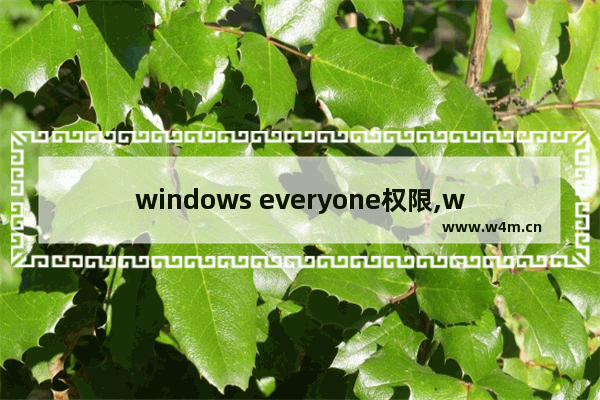 windows everyone权限,win10你需要everyone提供的权限才能对此文件