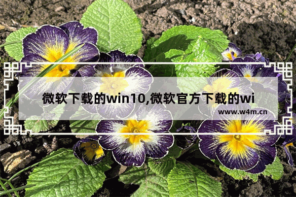 微软下载的win10,微软官方下载的win10是什么版