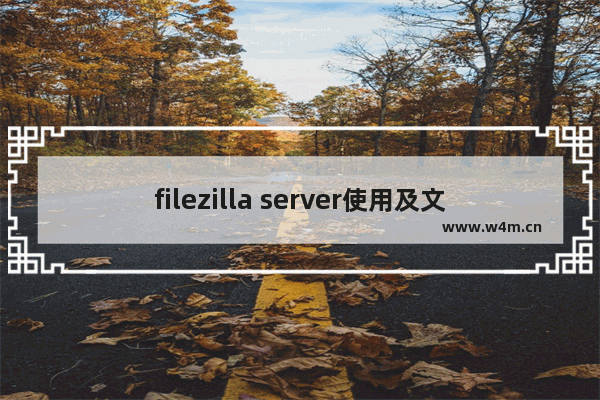 filezilla server使用及文件服务器的配置,filezilla配置文件