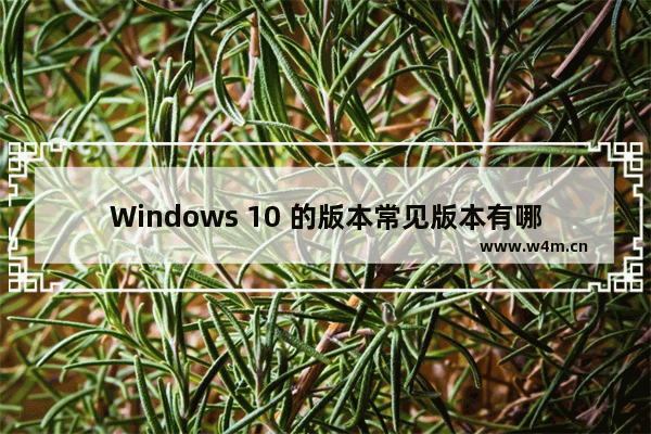 Windows 10 的版本常见版本有哪些-,windows 10哪个版本系统最好