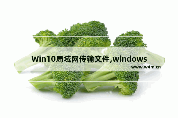 Win10局域网传输文件,windows10局域网传输文件_1