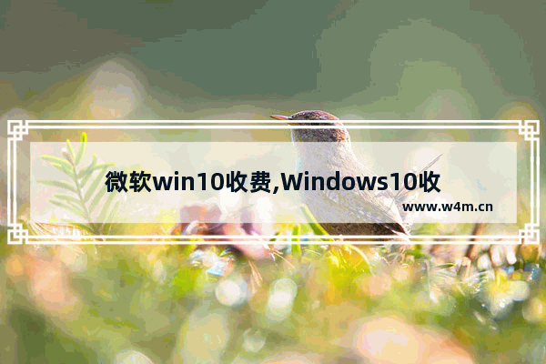 微软win10收费,Windows10收费吗