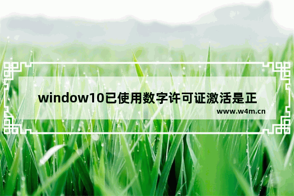 window10已使用数字许可证激活是正版-,windows10数字许可证激活