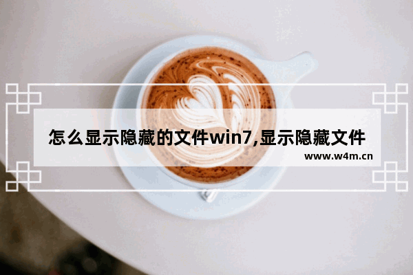 怎么显示隐藏的文件win7,显示隐藏文件