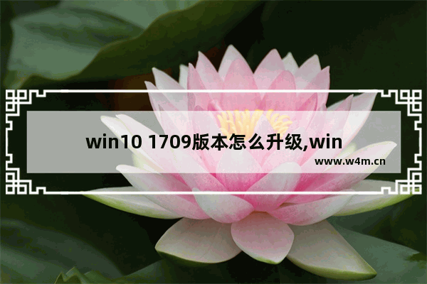 win10 1709版本怎么升级,win101909会被强制升级吗