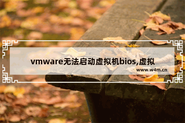 vmware无法启动虚拟机bios,虚拟机需要打开bios