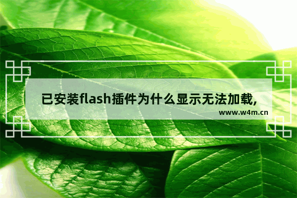 已安装flash插件为什么显示无法加载,flash无法加载插件是什么意思