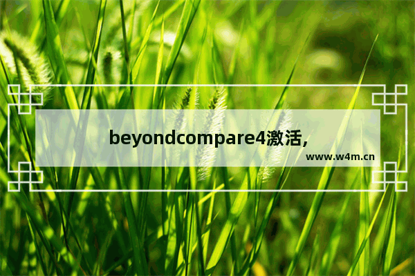 beyondcompare4激活,