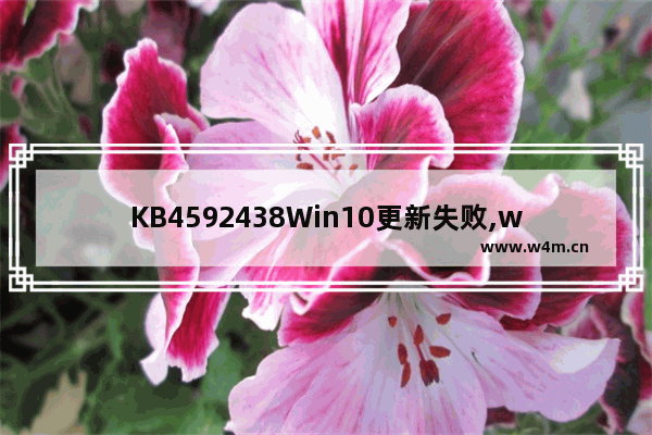 KB4592438Win10更新失败,win10更新kb4579311