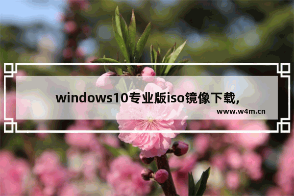 windows10专业版iso镜像下载,window10专业版ISO