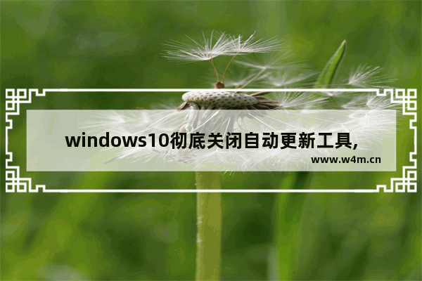 windows10彻底关闭自动更新工具,win10更新后工具栏点不动