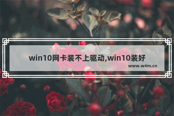 win10网卡装不上驱动,win10装好没有网卡驱动