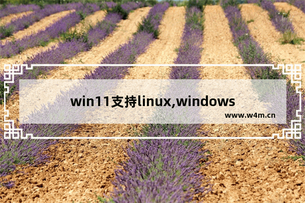 win11支持linux,windows11 linux