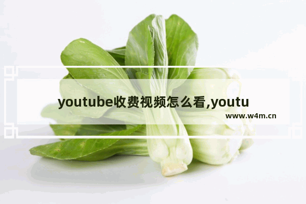 youtube收费视频怎么看,youtube视频免费吗