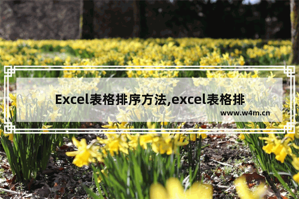 Excel表格排序方法,excel表格排序技巧