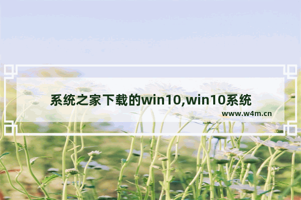 系统之家下载的win10,win10系统软件下载