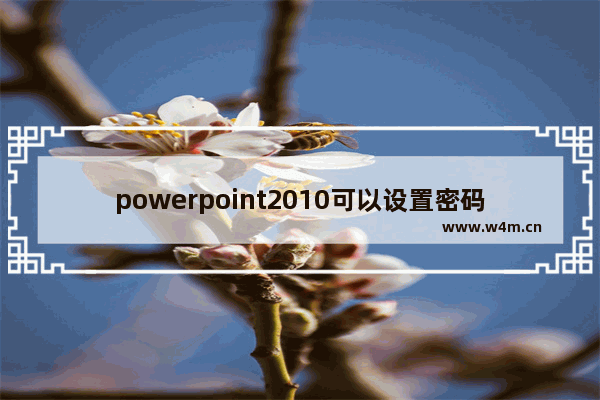 powerpoint2010可以设置密码吗,powerpoint怎么加密码