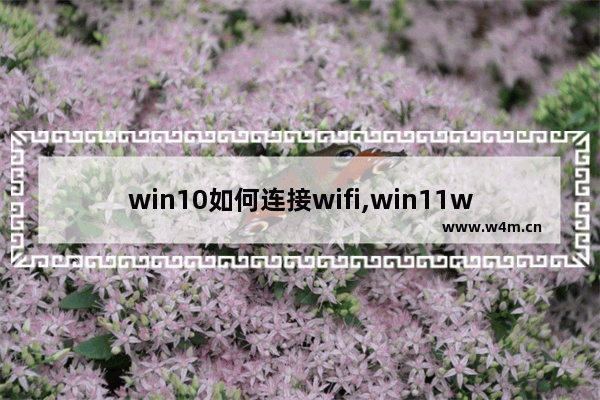 win10如何连接wifi,win11wifi在哪