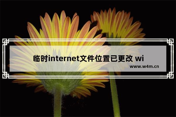 临时internet文件位置已更改 win10,怎么设置internet临时文件