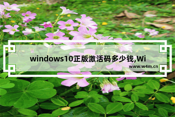 windows10正版激活码多少钱,Win10正版激活