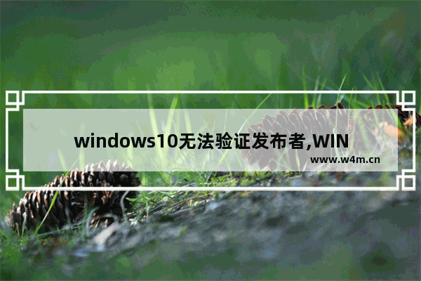 windows10无法验证发布者,WIN10由于无法验证发布者,所以windows已经阻止此软件