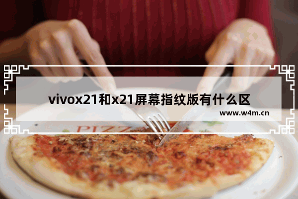 vivox21和x21屏幕指纹版有什么区别,vivox21屏幕指纹版和x21s