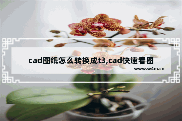 cad图纸怎么转换成t3,cad快速看图如何转换成t3格式