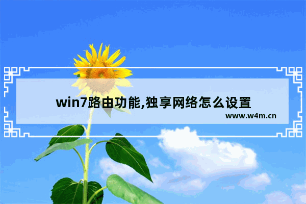 win7路由功能,独享网络怎么设置