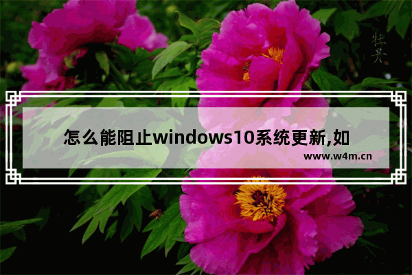 怎么能阻止windows10系统更新,如何禁止window 10电脑自动更新系统