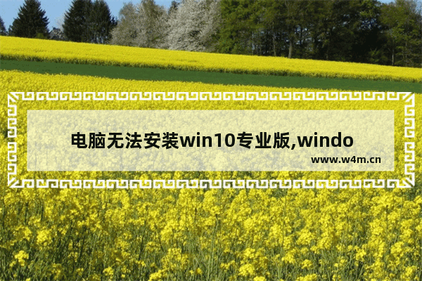 电脑无法安装win10专业版,windows10专业版安装失败