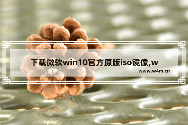 下载微软win10官方原版iso镜像,windows10原版iso镜像下载