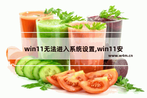 win11无法进入系统设置,win11安装后无法登陆