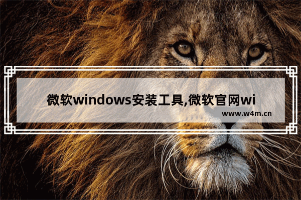 微软windows安装工具,微软官网win10下载工具