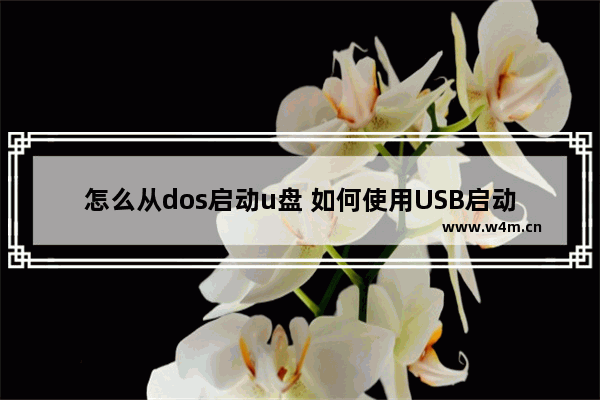 怎么从dos启动u盘 如何使用USB启动DOS