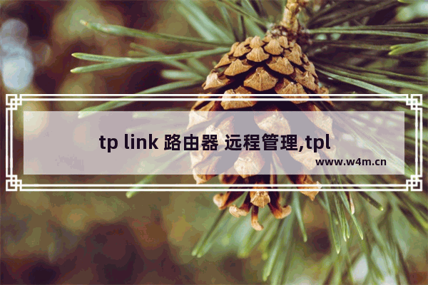 tp link 路由器 远程管理,tplink无线路由器远程管理