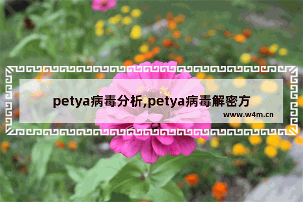 petya病毒分析,petya病毒解密方法