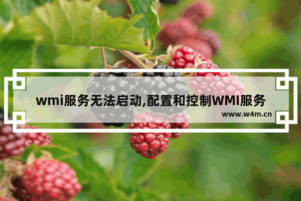 wmi服务无法启动,配置和控制WMI服务