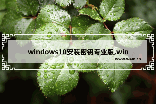 windows10安装密钥专业版,win10专业版官方u盘安装教程