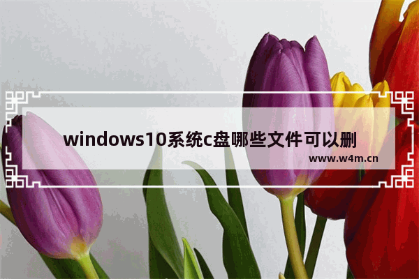 windows10系统c盘哪些文件可以删除,win 10系统c盘里面哪些文件是可以删除的