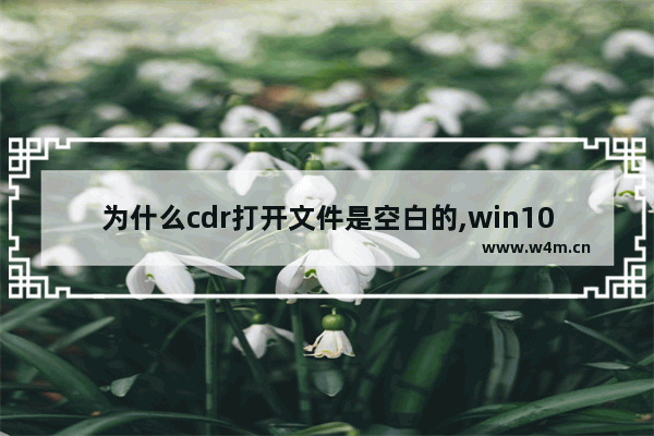 为什么cdr打开文件是空白的,win10装cdr菜单白色_1