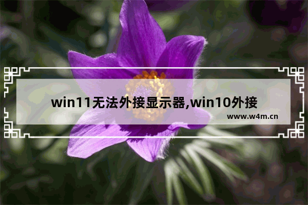 win11无法外接显示器,win10外接显示器没反应