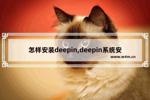 怎样安装deepin,deepin系统安装步骤_1